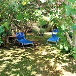 Manuel Appartement