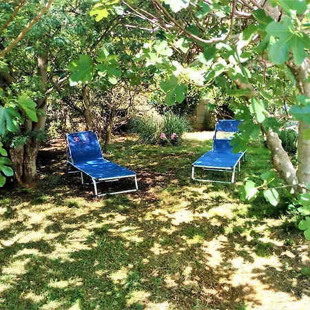 Manuel Apartment