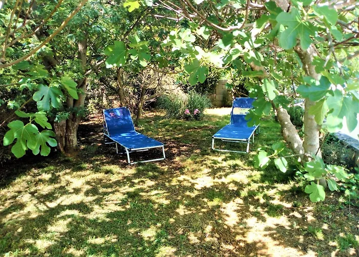 Manuel Apartmán